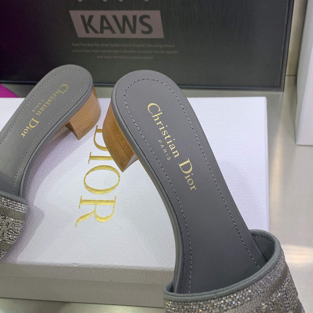 Dior Women's Shoes Dway Heeled Slide Metallic Thread Strass KCQ244LCS Gray