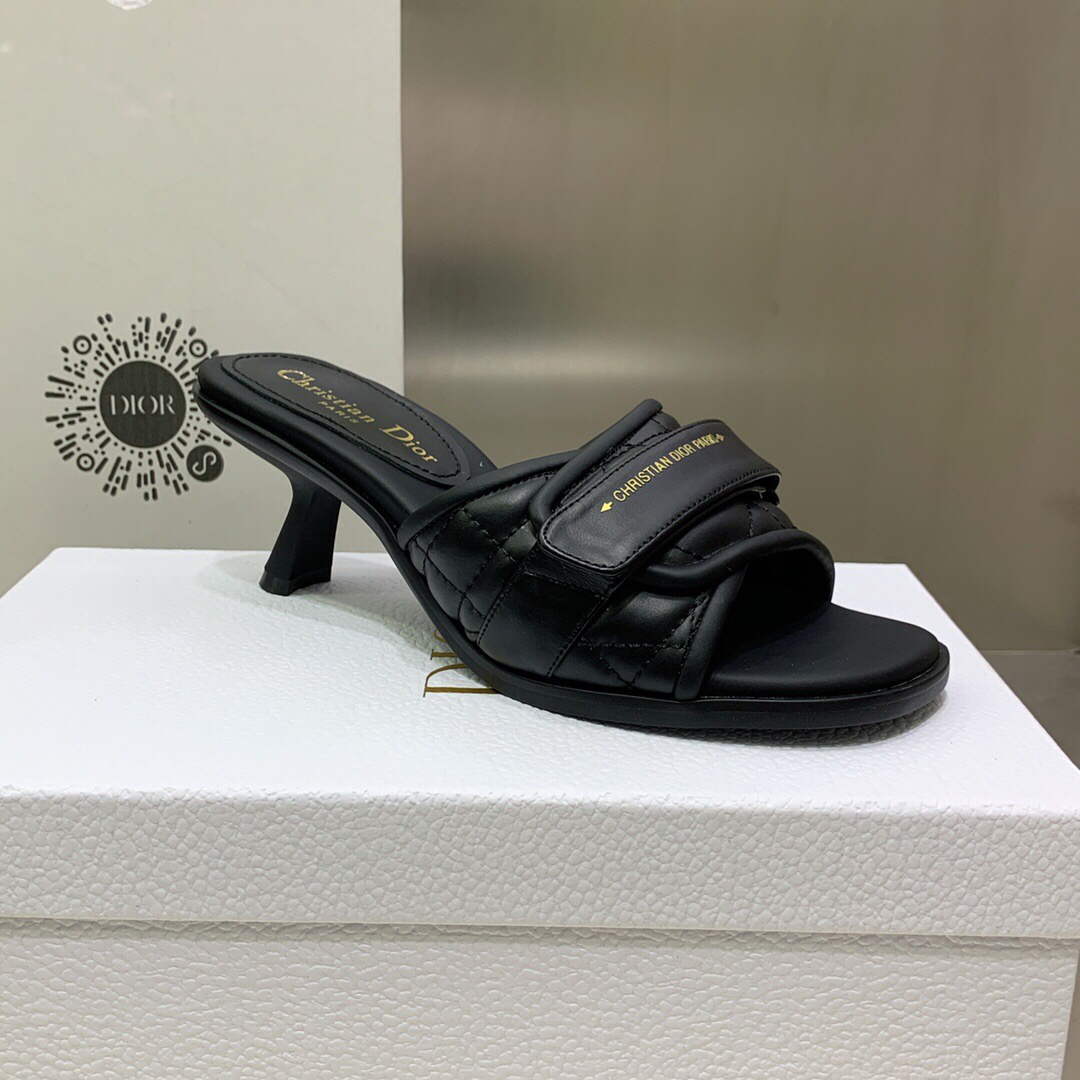 Dior Women's Shoes evolution heeled slide KCQ731CQC Black
