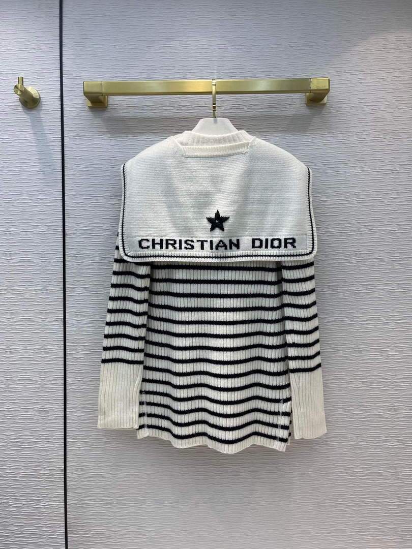 Dior Women's Sweaters Designer Dior Sweatshirts Clothing 38104