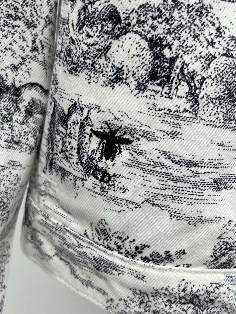 Dior Women's Tracksuit Casual Printed denim set Clothing D39004