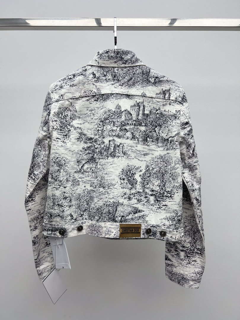 Dior Women's Tracksuit Casual Printed denim set Clothing D39004