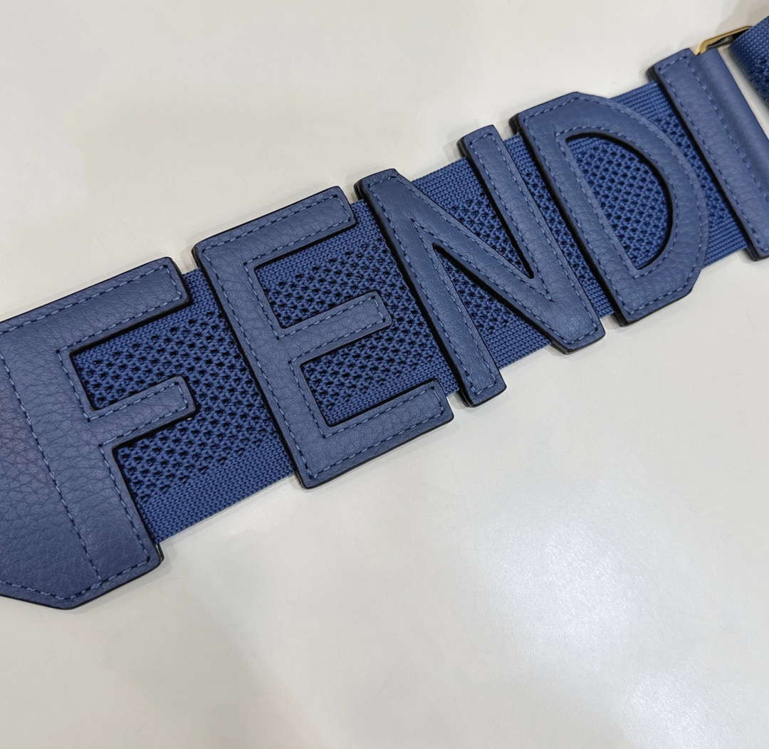 Fendi F10064 Handbag Shoulder Strap FF Logo 915