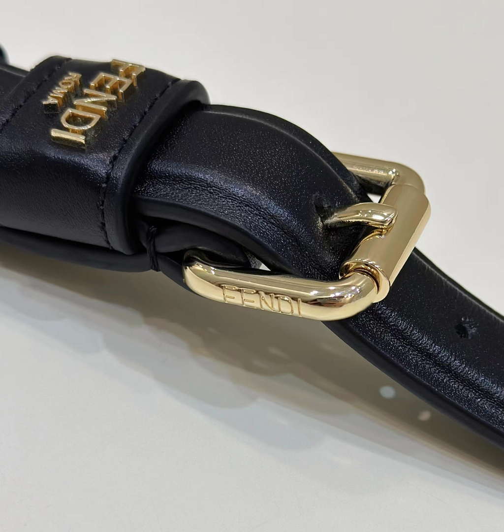 Fendi F10108 Handbag Fashionable cowhide Shoulder Strap Black 9001
