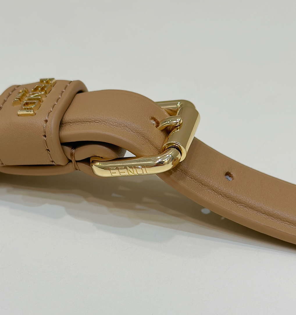 Fendi F10109 Handbag Fashionable cowhide Shoulder Strap Sand 9001