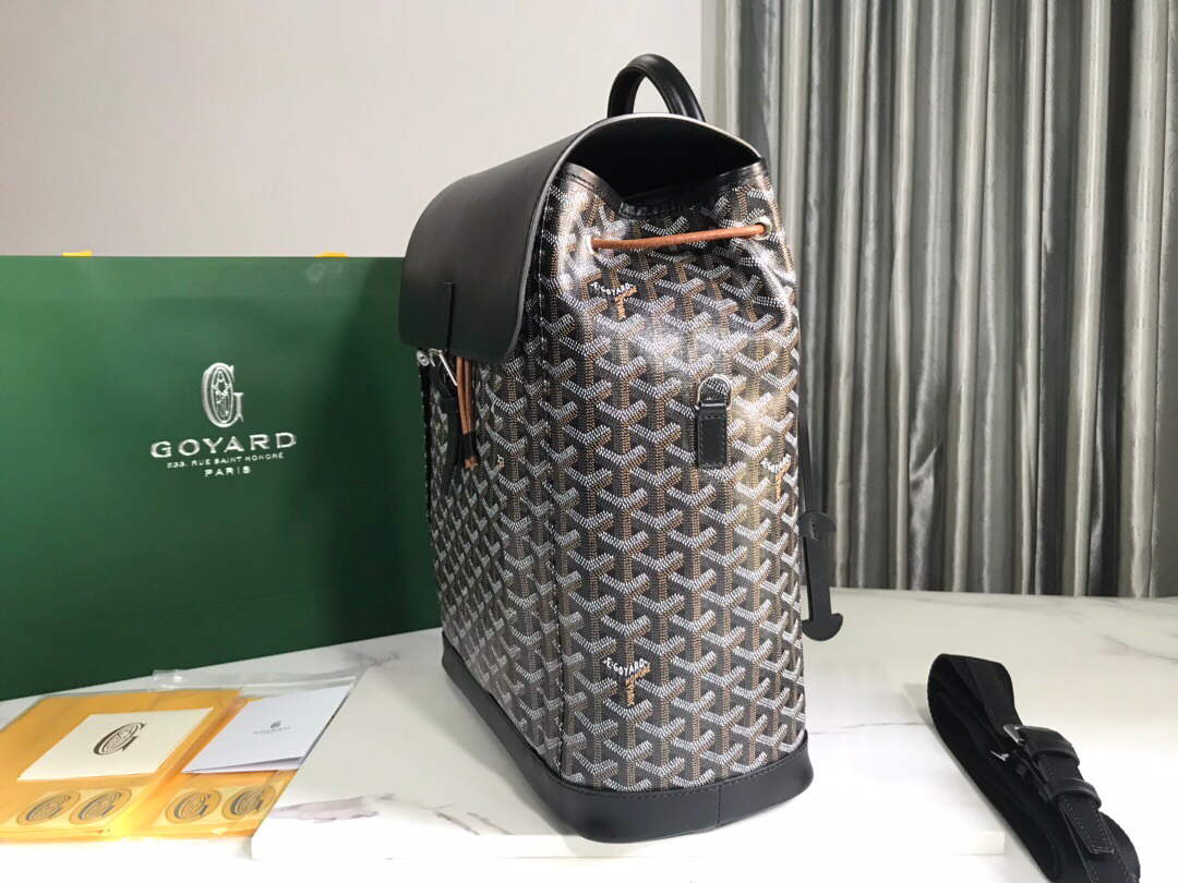 Goyard ALPIN2MMLTY Alpin MM Backpack Black