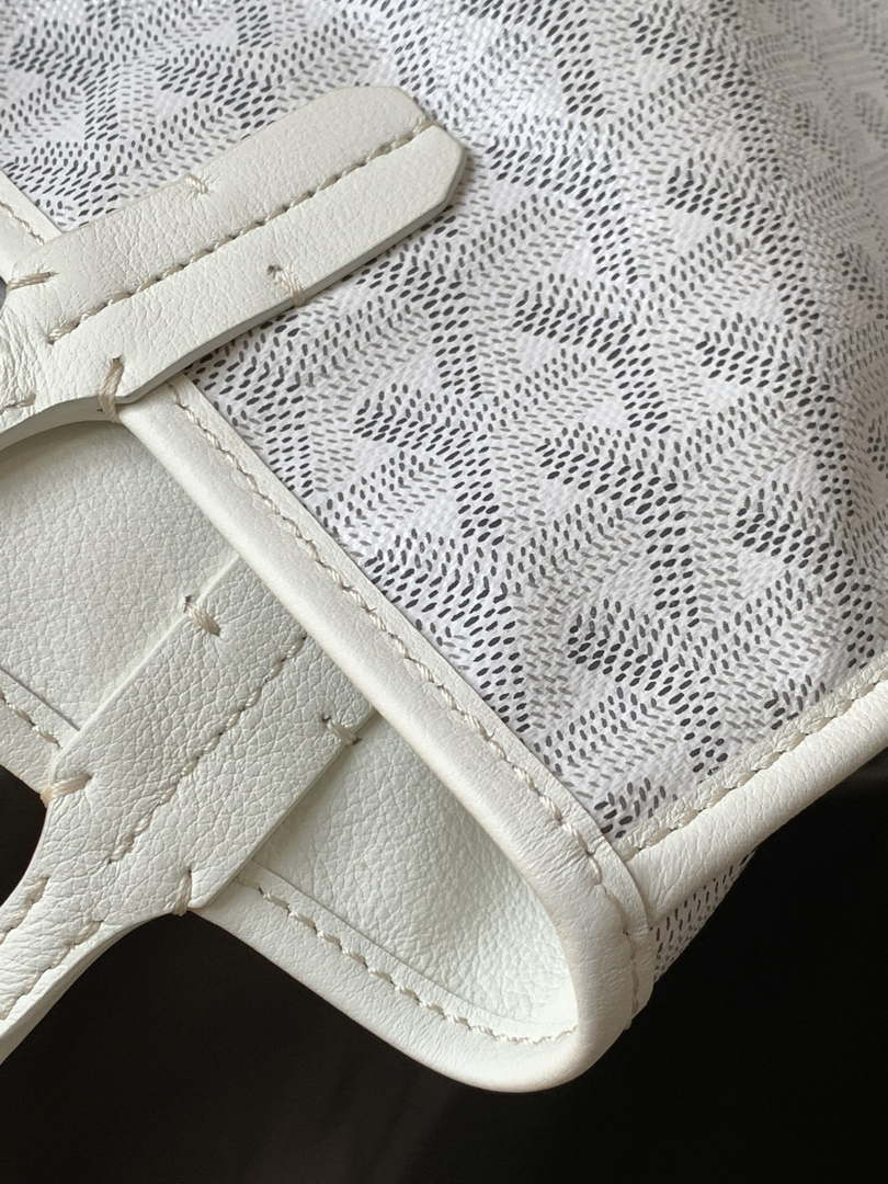 Goyard ANJOUSMINCG07TY07P Anjou Mini Bag White