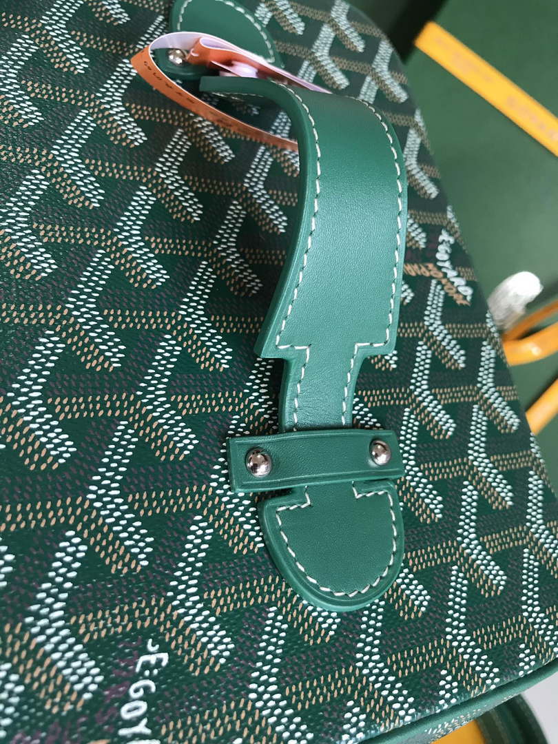 Goyard MUSEVAPMLTY01CL03P Muse Vanity Case PM Bag Green - Default Title - View 5