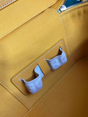 Goyard MUSEVAPMLTY01CL03P Muse Vanity Case PM Bag Yellow - Default Title - View 6