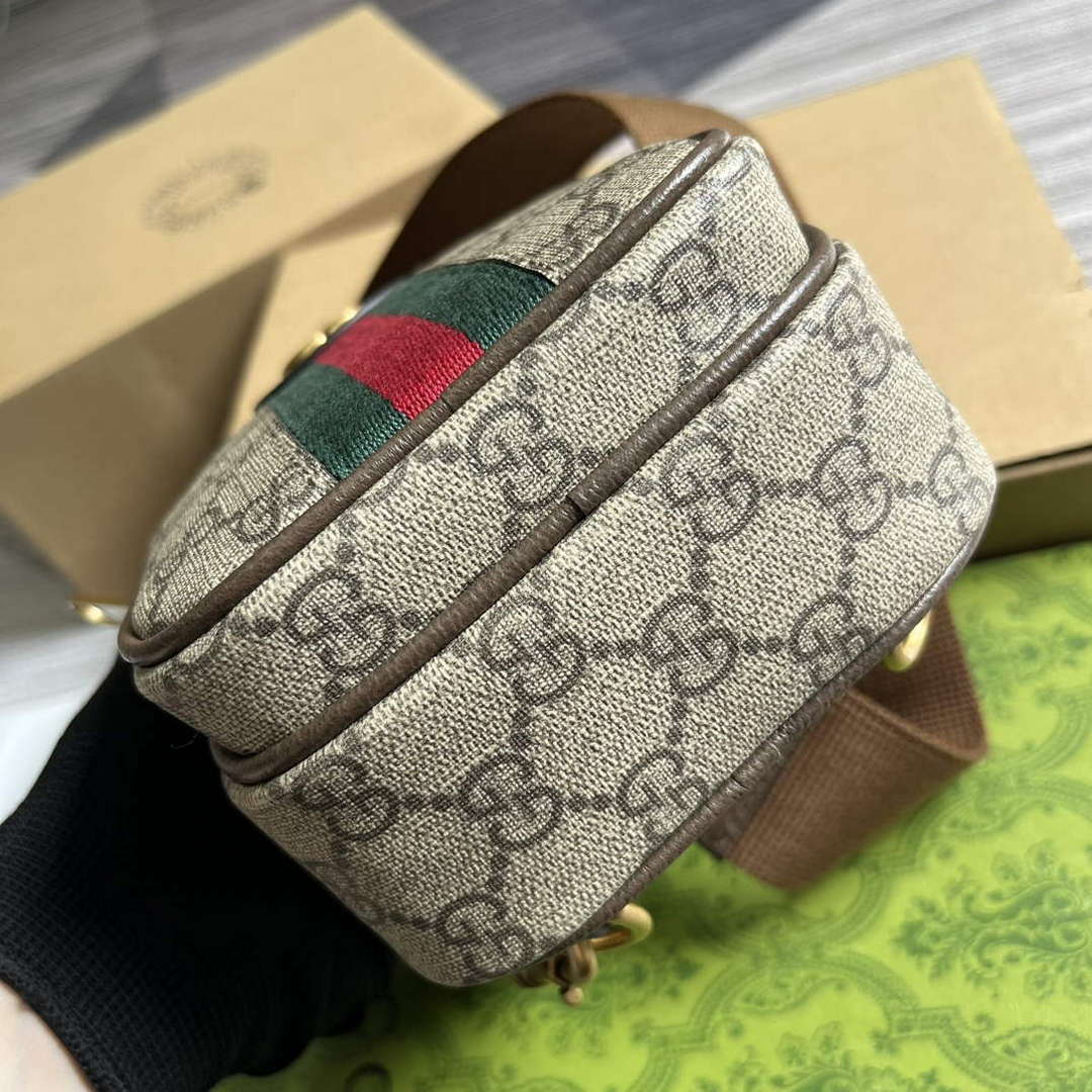 Gucci 752565 Ophidia GG Mini Bag Brown