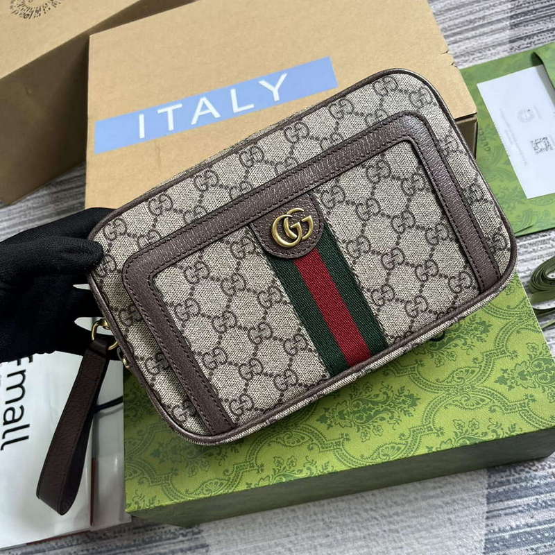 Gucci 760245 Ophidia GG Pouch Bag Brown