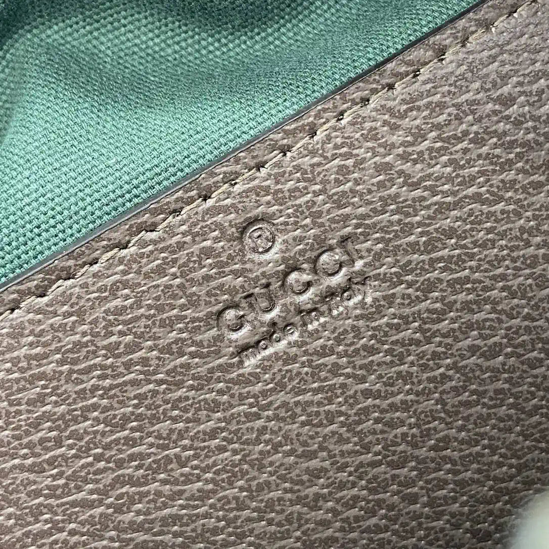 Gucci 841310 Ophidia small camera bag  Beige and dark brown