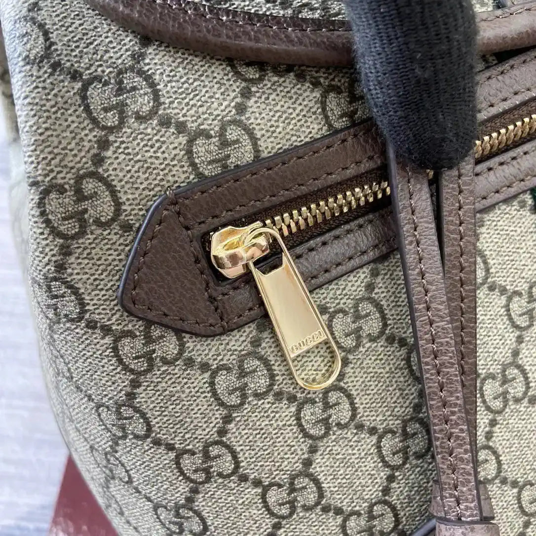 Gucci Ophidia medium backpack 836855 Beige and dark brown
