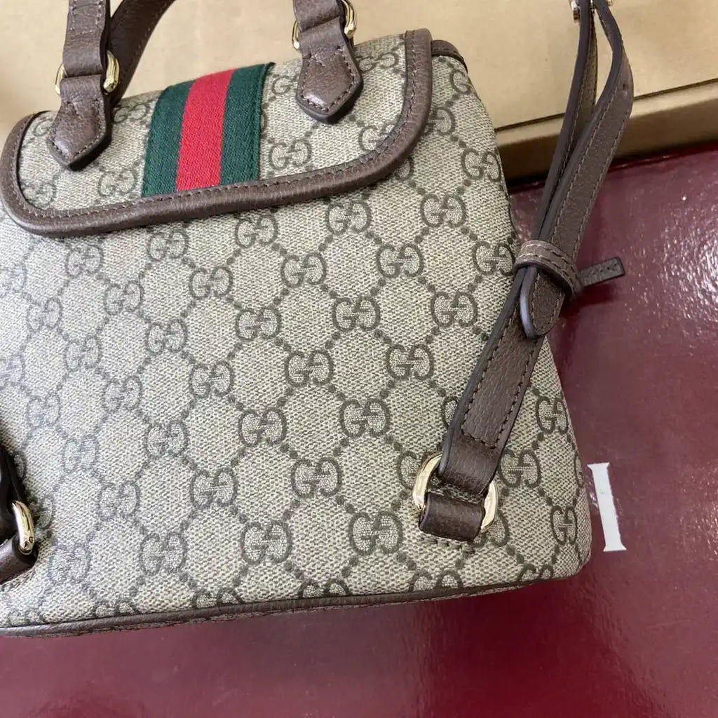 Gucci Ophidia Small backpack 836854 Beige and dark brown