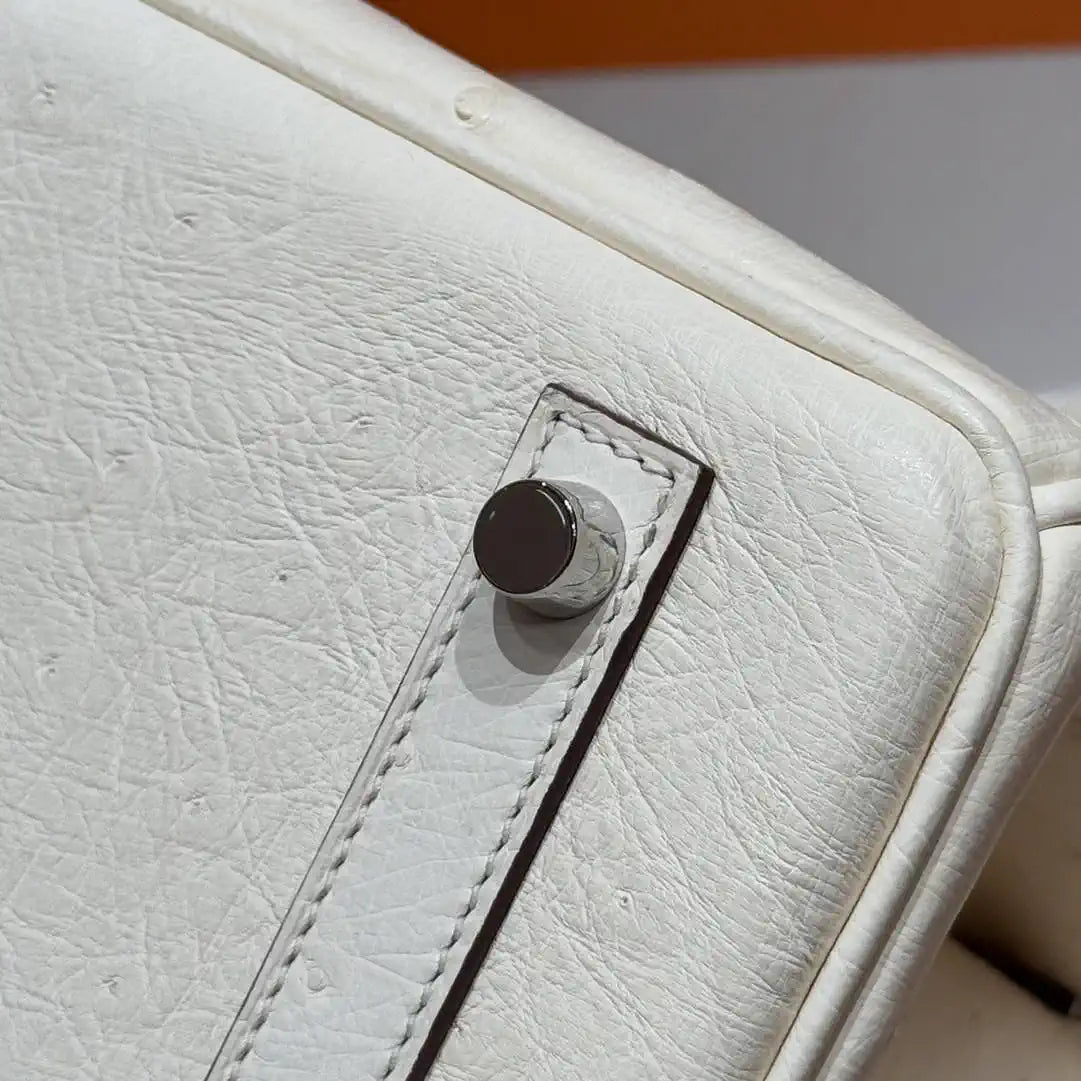 Hermes Birkin Bag Ostrich Leather Fully Handmade H92099