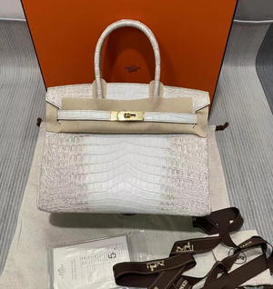 Hermes Birkin Designer Tote Bag Himalaya Crocodile Leather H99820 - Gold / 25cm - View 16