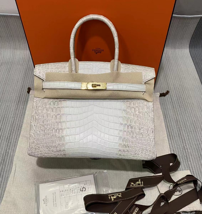 Hermes Birkin Designer Tote Bag Himalaya Crocodile Leather H99820 - Gold / 25cm - View 16