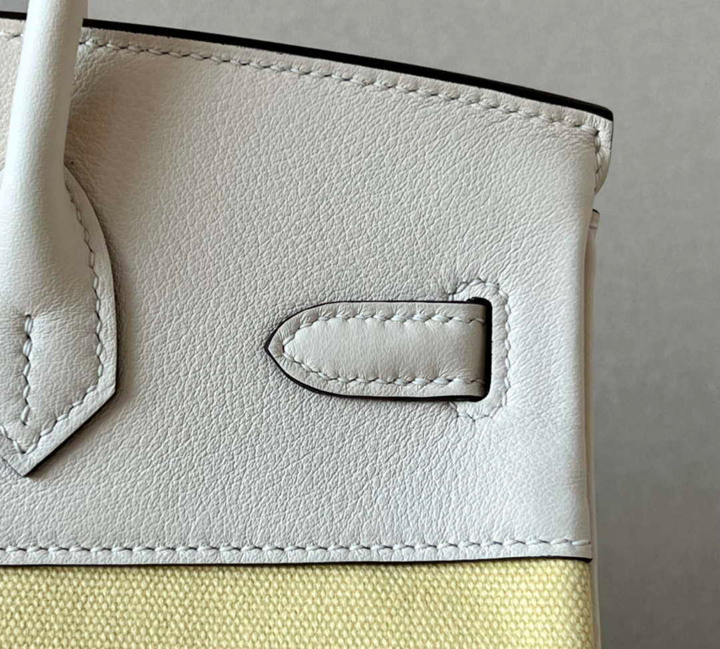 Hermes Birkin Tote Bag Swift leather with canvas 25cm 286007