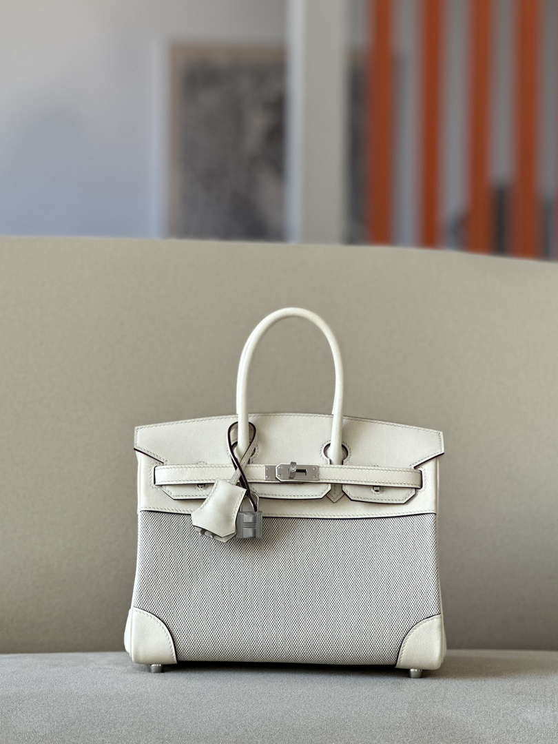 Hermes Birkin Tote Bag Swift leather with canvas 25cm 286008