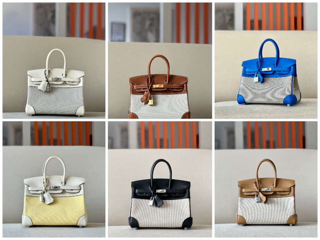 Hermes Birkin Tote Bag Swift leather with canvas 25cm 286006