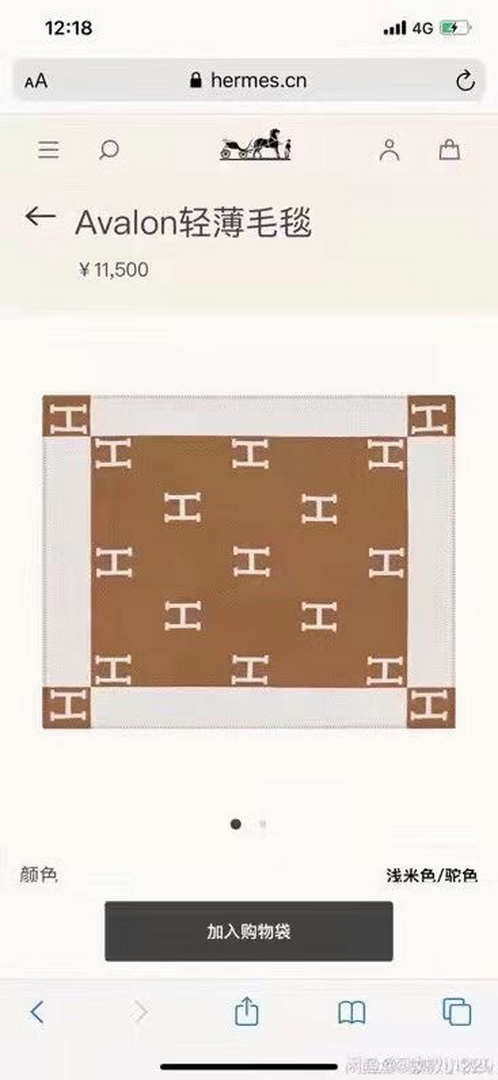 Hermes H102668 Avalon Rocabar Cashmere Blanket 299234 Beige and Brown