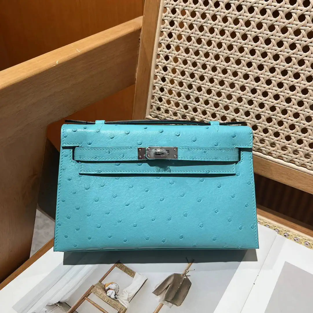 Hermes Kelly Pouchette Ostrich Leather clutch bag Silver H230302