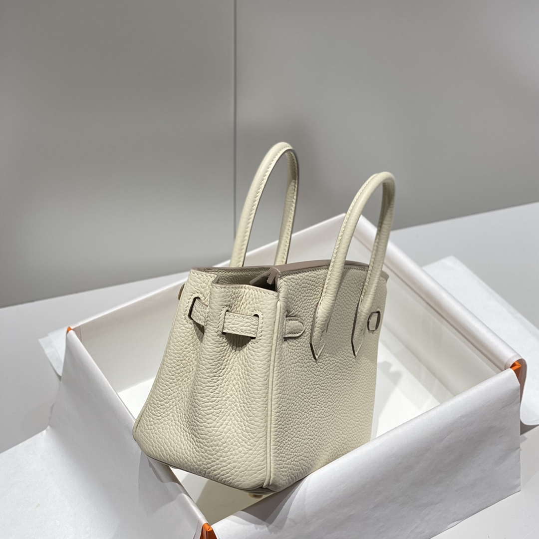 Hermes Mini Birkin Designer Tote Bag Togo Leather 20CM H28401