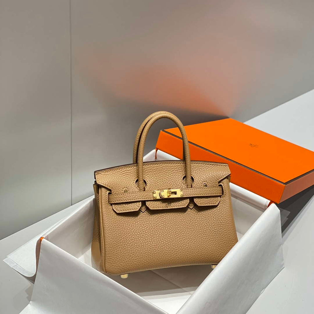 Hermes Mini Birkin Designer Tote Bag Togo Leather 20CM H28408