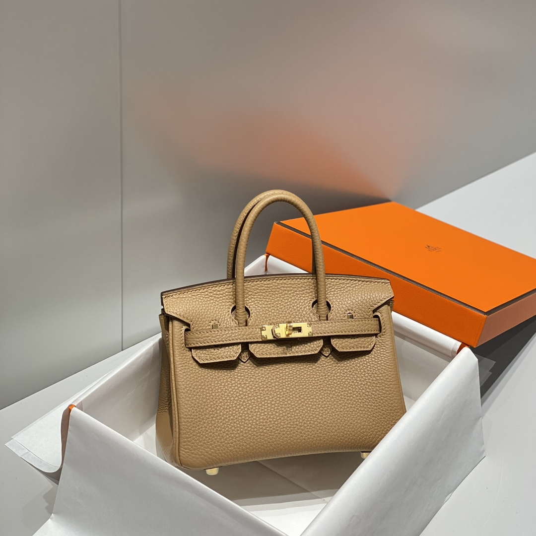 Hermes Mini Birkin Designer Tote Bag Togo Leather 20CM H28408