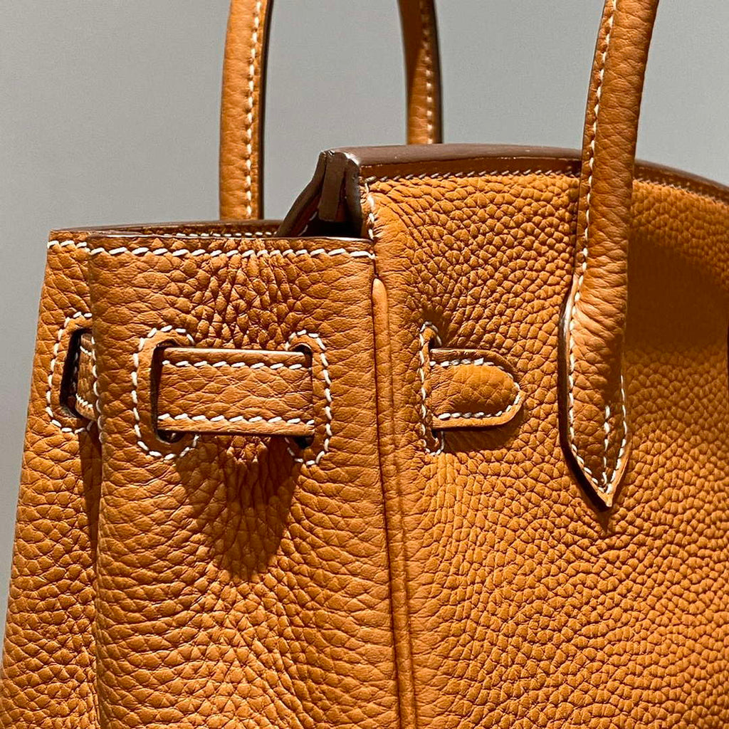Hermes Mini Birkin Designer Tote Bag Togo Leather 20CM H28409