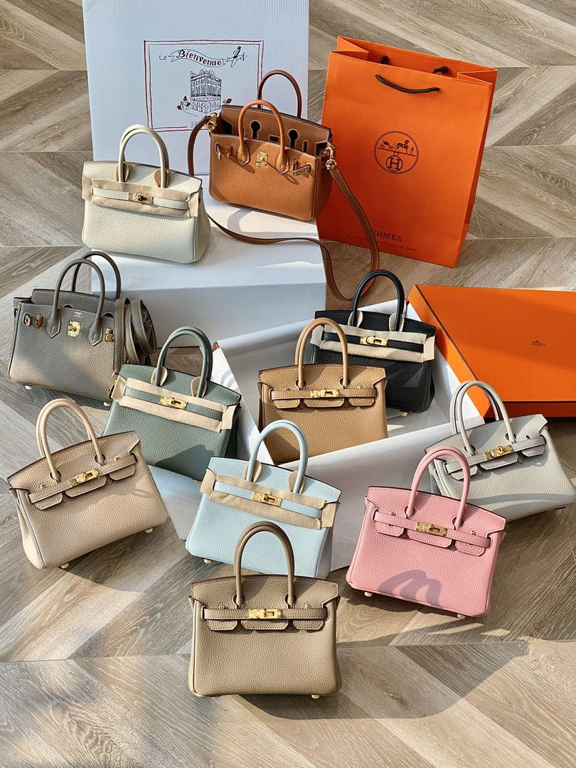 Hermes Mini Birkin Designer Tote Bag Togo Leather 20CM H28411