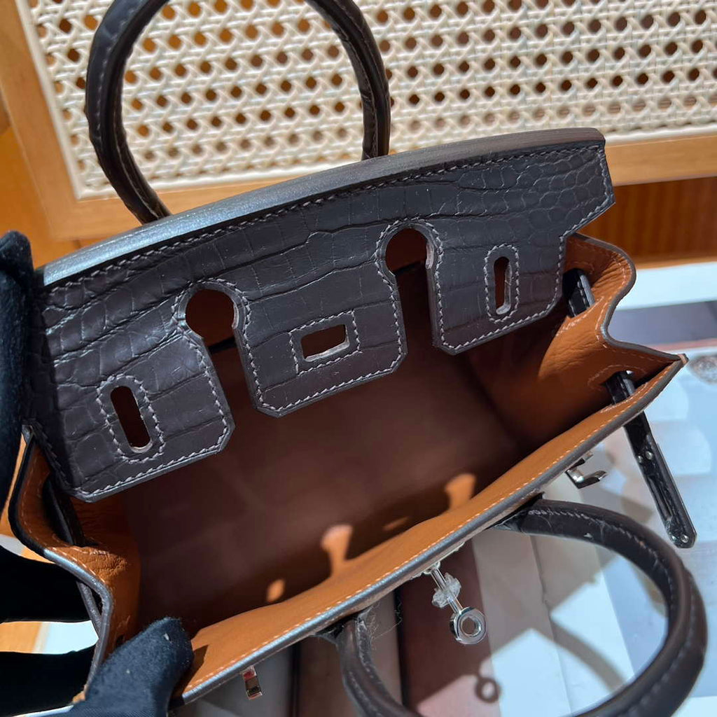 Hermes Mini Birkin Tote Bag Sac Faubourg Brown Matte Alligator Silver Hardware 20CM H28503