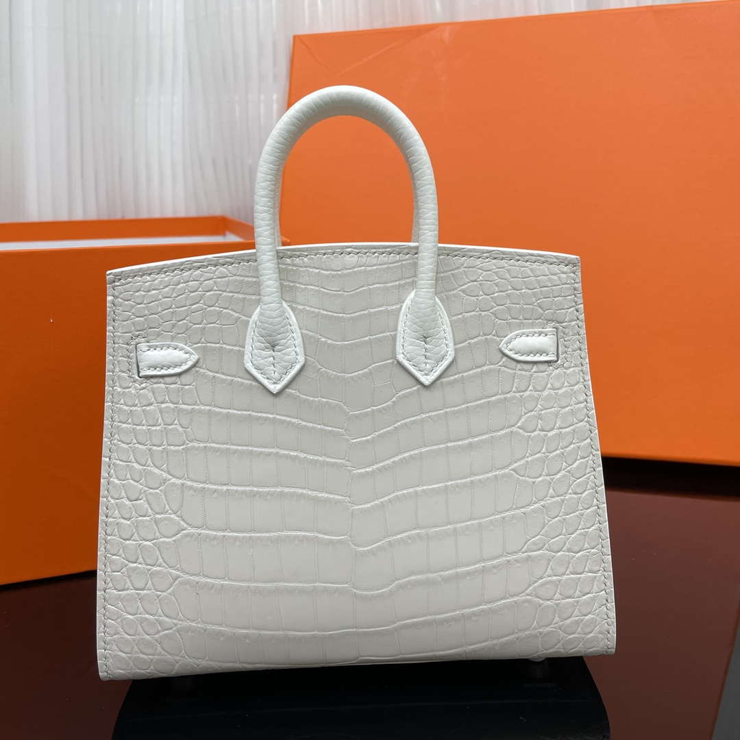 Hermes Mini Birkin Tote Bag Sac Faubourg White Matte Alligator Silver Hardware 20CM H28504