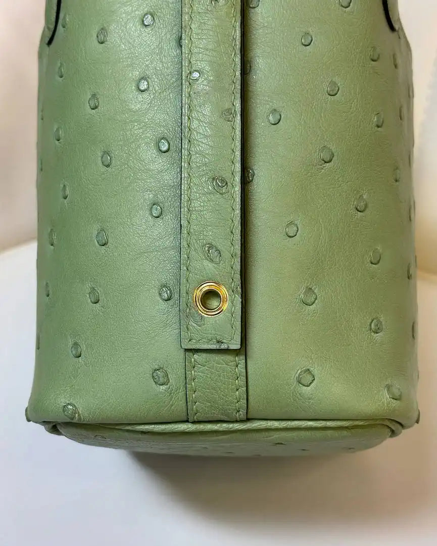 Hermes Picotin Ostrich Bag Lock 14cm 18cm H330307