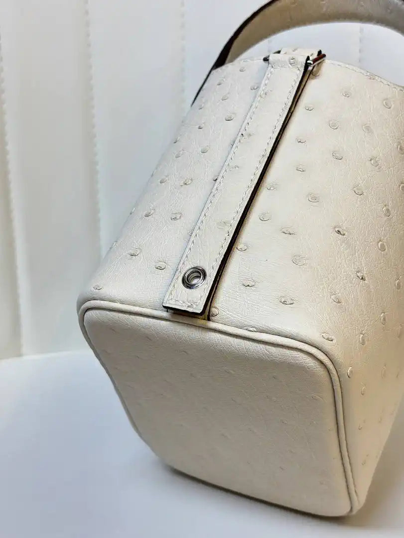 Hermes Picotin Ostrich Bag Lock 14cm 18cm H330308