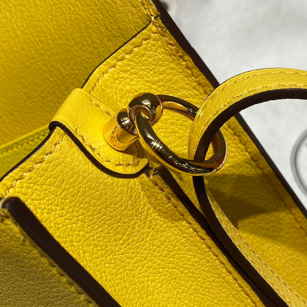 Hermes Roulis Mini Bag Evercolor Leather H233009
