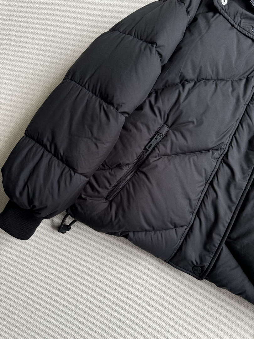 Hermes Women's Fashion Clothing Down Coat H33420