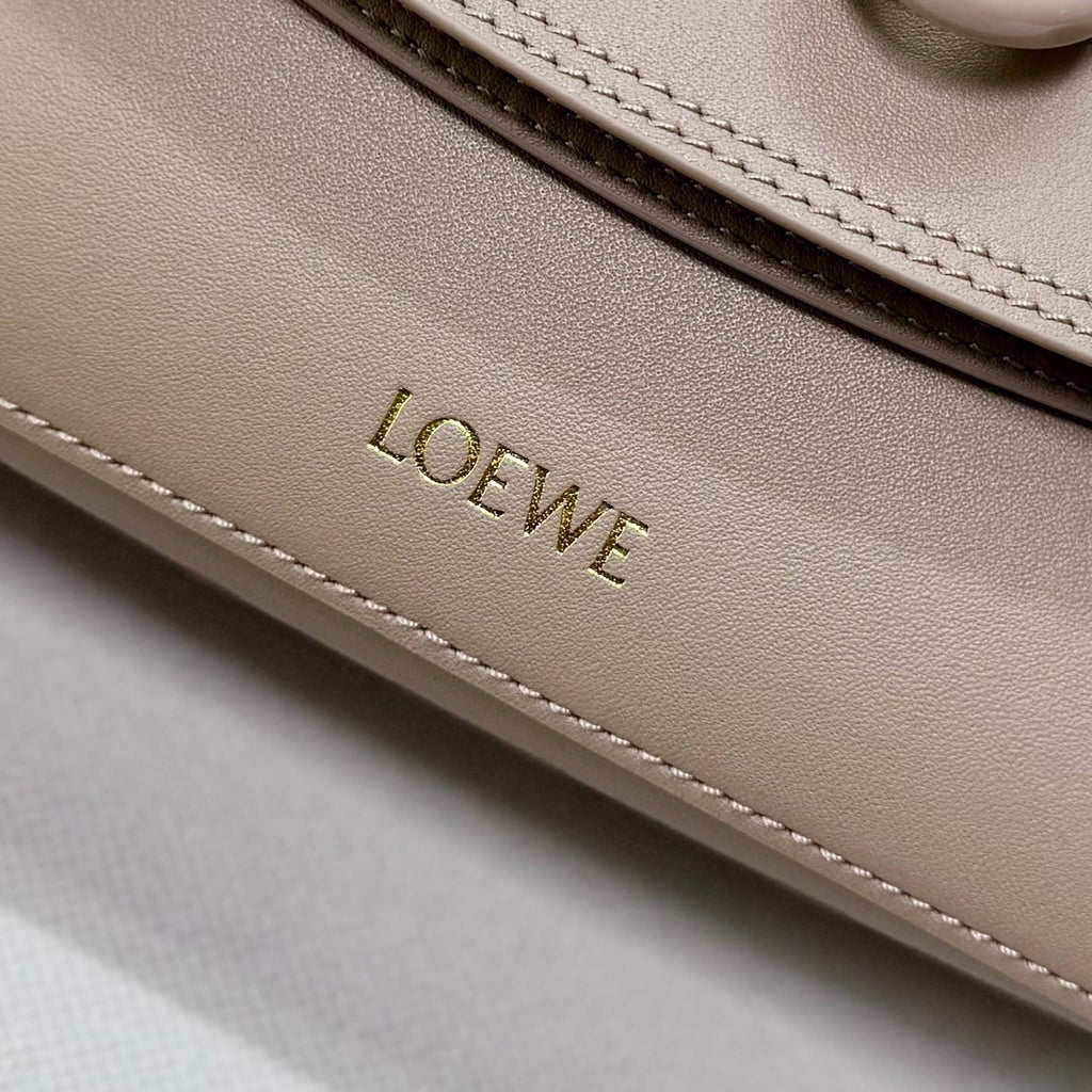 Loewe Medium Ola bag in smooth calfskin AP22P22X07  Lo90005