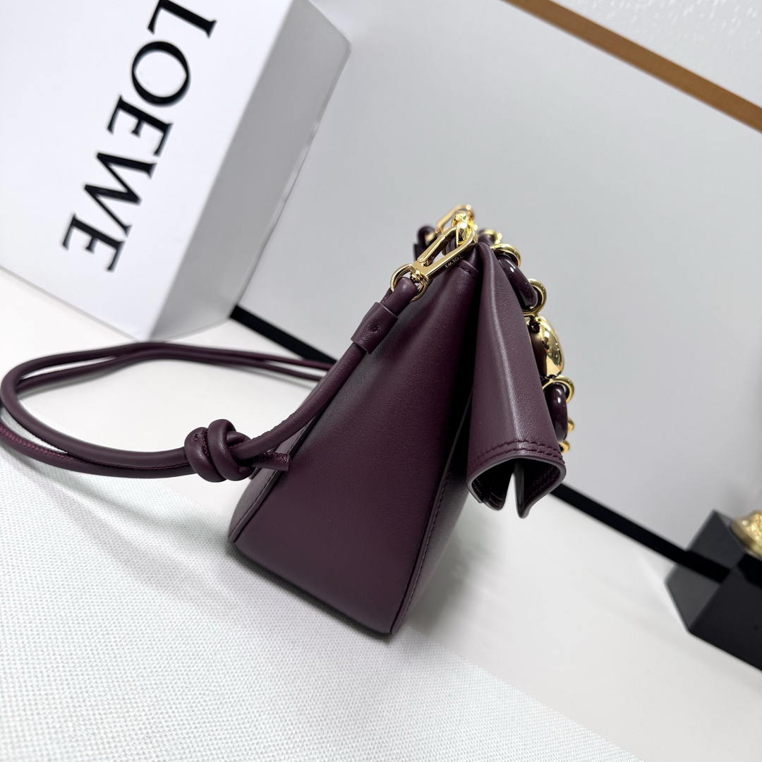 Loewe Medium Ola bag in smooth calfskin AP22P22X07  Lo90006