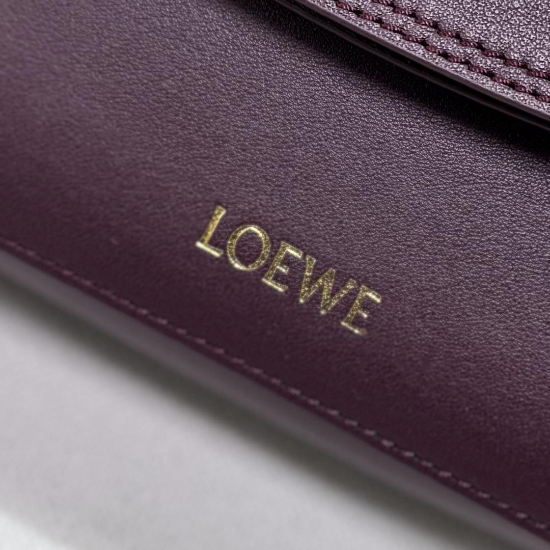 Loewe Medium Ola bag in smooth calfskin AP22P22X07  Lo90006