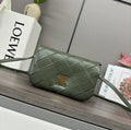 Loewe Puffer Goya Bag in Pleated Shiny Nappa  A896P41X148752 Green