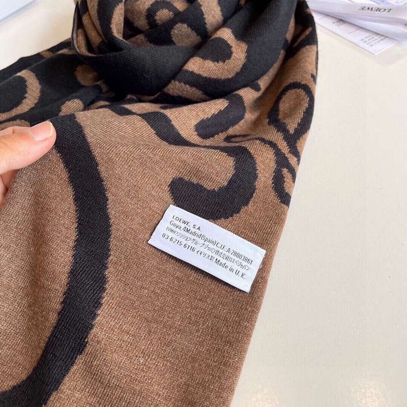 Loewe Scarves Cashmere Knitted Long Scarf L45032