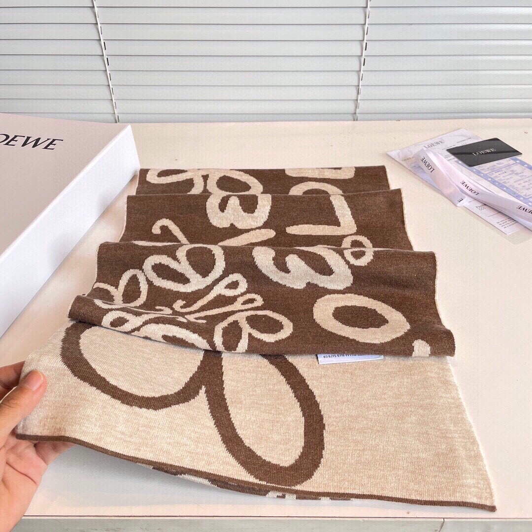 Loewe Scarves Cashmere Knitted Long Scarf L45033