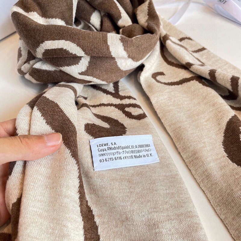 Loewe Scarves Cashmere Knitted Long Scarf L45033