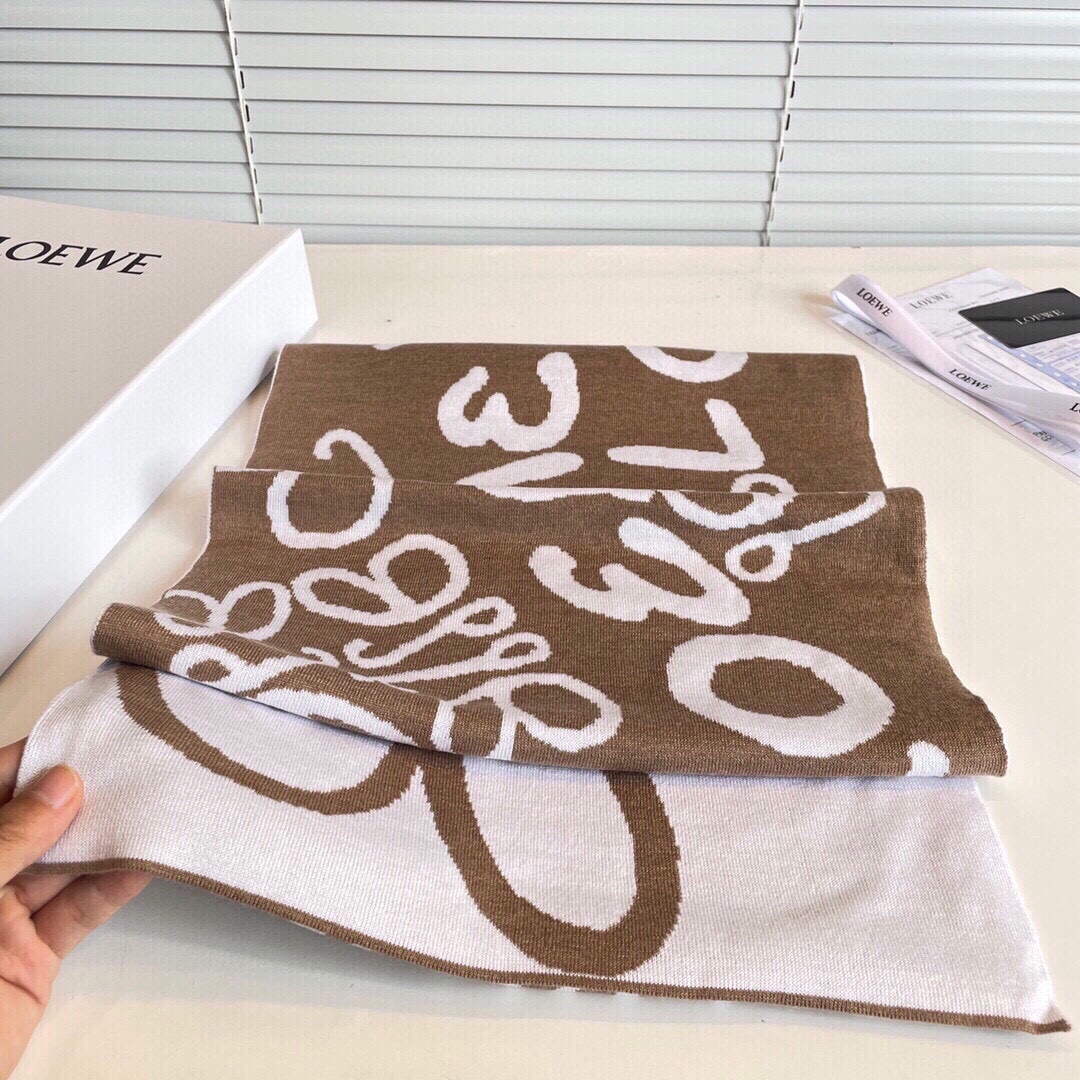 Loewe Scarves Cashmere Knitted Long Scarf L45034