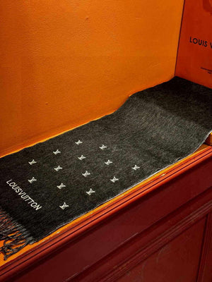 Louis Vuitton Double-sided Cashmere Scarf L60370 - Default Title - View 6