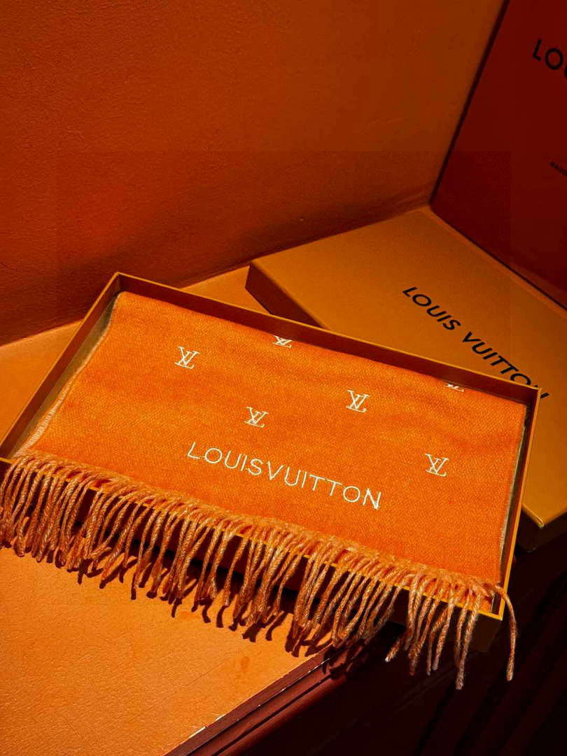 Louis Vuitton Double-sided Cashmere Scarf L60376 - Default Title - View 4