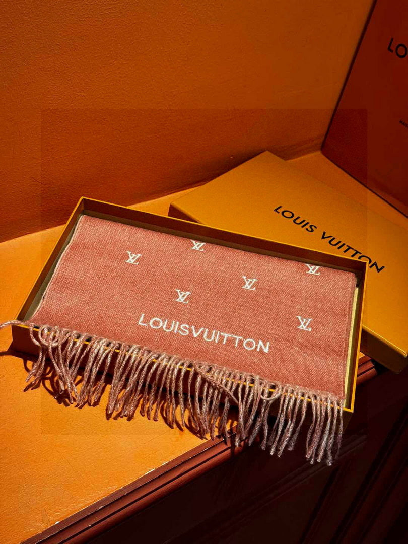 Louis Vuitton Fashion Double-faced Cashmere Scarf L39043