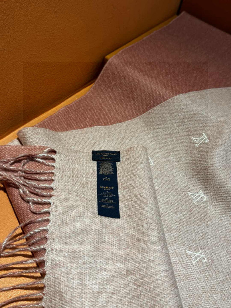 Louis Vuitton Fashion Double-faced Cashmere Scarf L39043