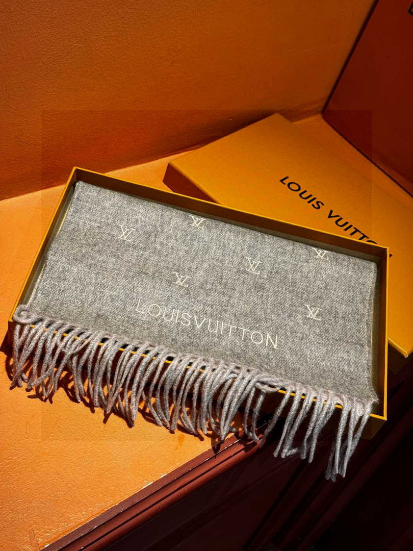 Louis Vuitton Fashion Double-faced Cashmere Scarf L39044