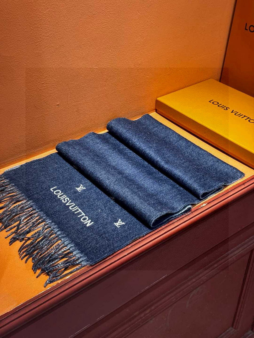 Louis Vuitton Fashion Double-faced Cashmere Scarf L39045